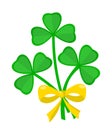 Clover bouquet Saint Patricks day Irish holiday