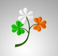 Clover branch in irish flag colors. St.Patrick`s day. 3D illustration Royalty Free Stock Photo