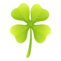 Clover celtic icon, cartoon style