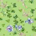 Clover and crocus bunch with ribbon watercolor seamless pattern isolated on green. Painted green shamrock. Lucky symbol