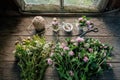 Clover, daisies and hypericum flowers, mortar, clover tincture or infusion, scissors and jute on wooden table inside retro house.