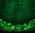 Clover Green Grunge Background