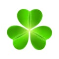 Clover isolated on white background. Happy Saint Patricks Day. Vector illustration Royalty Free Stock Photo