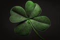 Clover leaf close-up on a dark background. Good luck symbol for St. Patrick`s Day. AI Generated Royalty Free Stock Photo