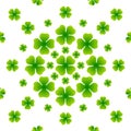 Clover leaf design vector Royalty Free Stock Photo
