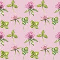 Clover leaf and flowers hand drawn seamless pattern watercolor illustration. Happy Saint Patricks Day. Royalty Free Stock Photo