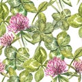 Clover leaf and flowers hand drawn seamless pattern watercolor illustration. Happy Saint Patricks Day. Royalty Free Stock Photo