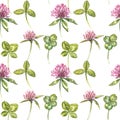 Clover leaf and flowers hand drawn seamless pattern watercolor illustration. Happy Saint Patricks Day. Royalty Free Stock Photo