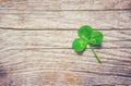 Clover leaf. Happy St. Patrick`s Day. Royalty Free Stock Photo