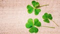 Clover leaf. Happy St. Patrick`s Day. Royalty Free Stock Photo