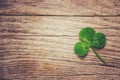 Clover leaf. Happy St. Patrick`s Day. Royalty Free Stock Photo