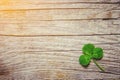 Clover leaf. Happy St. Patrick`s Day. Royalty Free Stock Photo