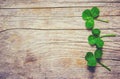 Clover leaf. Happy St. Patrick`s Day. Royalty Free Stock Photo