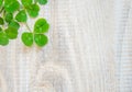 Clover leaf. Happy St. Patrick`s Day. Selective focus Royalty Free Stock Photo