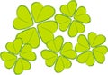 Clover Leaves Royalty Free Stock Photo