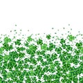 Clover leaves background