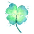 Clover leaves bush watercolor illustration . Royalty Free Stock Photo