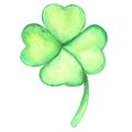 Clover leaves bush watercolor illustration for decoration Saint Patrick`s Day. Royalty Free Stock Photo