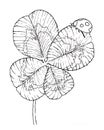 clover leaves four leaf clover and ladybug hand drawn graphics black and white illustration sketch coloring