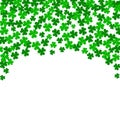 Clover leaves on a green background with three-leafed trefoils. St. Patrick`s Day holiday symbol. holiday background