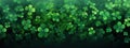 Clover leaves on green background. Three-leaved shamrocks. St Patrick Day holiday symbol. Royalty Free Stock Photo