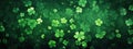 Clover leaves on green background. Three-leaved shamrocks. St Patrick Day holiday symbol. Royalty Free Stock Photo