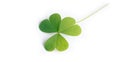 Clover Leaves for Green background with three-leaved shamrocks. st patrick`s day background, holiday symbol, Earth Day