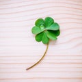 Clover leaves on shabby wooden background. The symbolic of Four Leaf Clover the first is for faith, the second is for hope, the Royalty Free Stock Photo