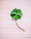 Clover leaves on shabby wooden background. The symbolic of Four