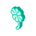 Clover lucky isometric icon vector isolated illustration Royalty Free Stock Photo