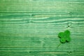 Clover over grenn wood background. Top view Royalty Free Stock Photo