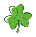 Clover plant leaf lucky symbol Royalty Free Stock Photo