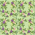 Clover plants seamless pattern. Vector stock illustration eps 10. Outline. Hand drawing Royalty Free Stock Photo