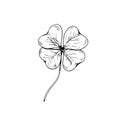 Clover sketch. Hand drawn four leaf clover. Vector illustration, isolated on white