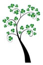 shamrock tree