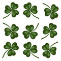 Clover trefoil white background. Isolated green leaves - elegant decor for wrapping paper for St. Patricks Day. Bright pages for a