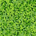 Cloverleaf Green Seamless Royalty Free Stock Photo