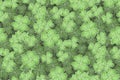 Cloverleaf Repeatable Background