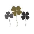 Clovers with four and three leaves bouquet. Shamrock logo or sign icon. Saint Patrick symbol, stylish and simple design Royalty Free Stock Photo