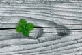 Clovers on grunge old aged wooden background, shamrock leaves, saint patrick`s day