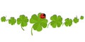 Clovers with an ladybug