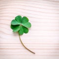 Clovers leaves on Stone .The symbolic of Four Leaf Clover the first is for faith, the second is for hope, the third is for Royalty Free Stock Photo