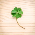 Clovers leaves on Stone .The symbolic of Four Leaf Clover the first is for faith, the second is for hope, the third is for Royalty Free Stock Photo