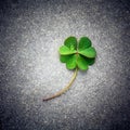 Clovers leaves on Stone .The symbolic of Four Leaf Clover the first is for faith, the second is for hope, the third is for Royalty Free Stock Photo