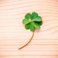 Clovers leaves on Stone .The symbolic of Four Leaf Clover the first is for faith, the second is for hope, the third is for Royalty Free Stock Photo