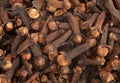 Cloves Royalty Free Stock Photo