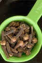 Cloves Royalty Free Stock Photo