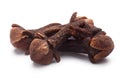 Cloves-buds of Syzygium aromaticum, paths