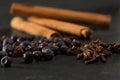 Cloves cinnamon juniper berries Gyn tonic spices Royalty Free Stock Photo