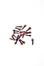 Cloves.Dry cloves top view isolated on a white background Royalty Free Stock Photo